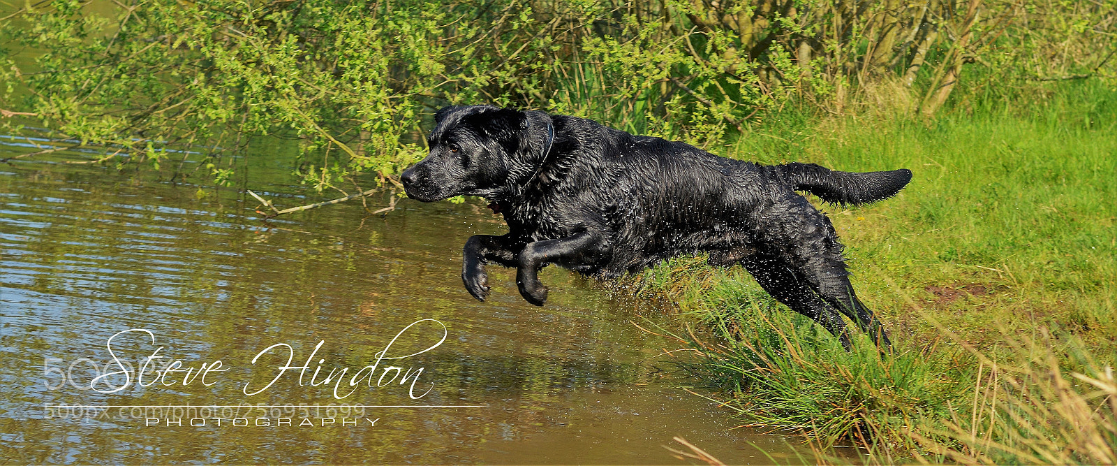 Nikon D7100 sample photo. Winston photography