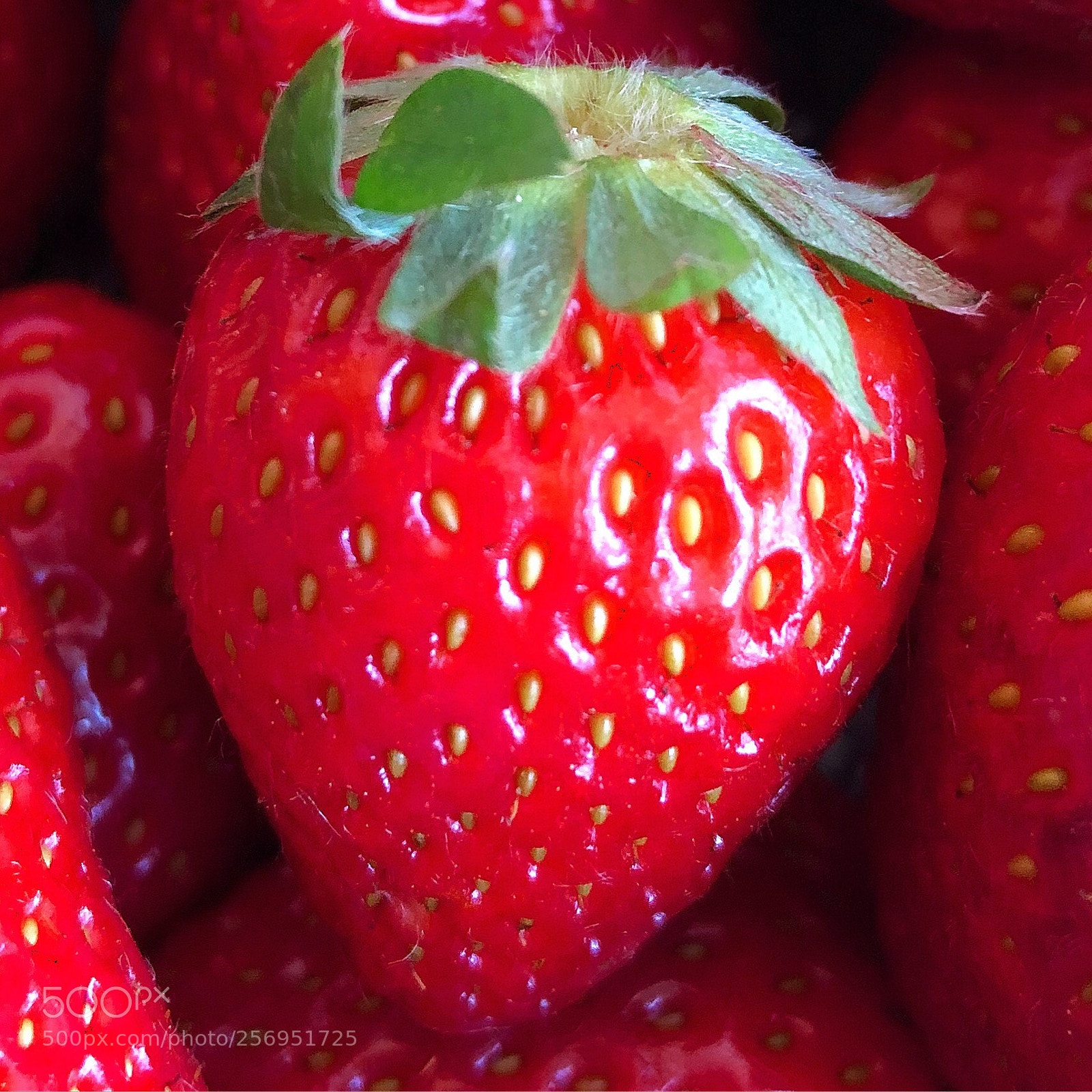 Apple iPhone 8 Plus sample photo. Strawberry photography