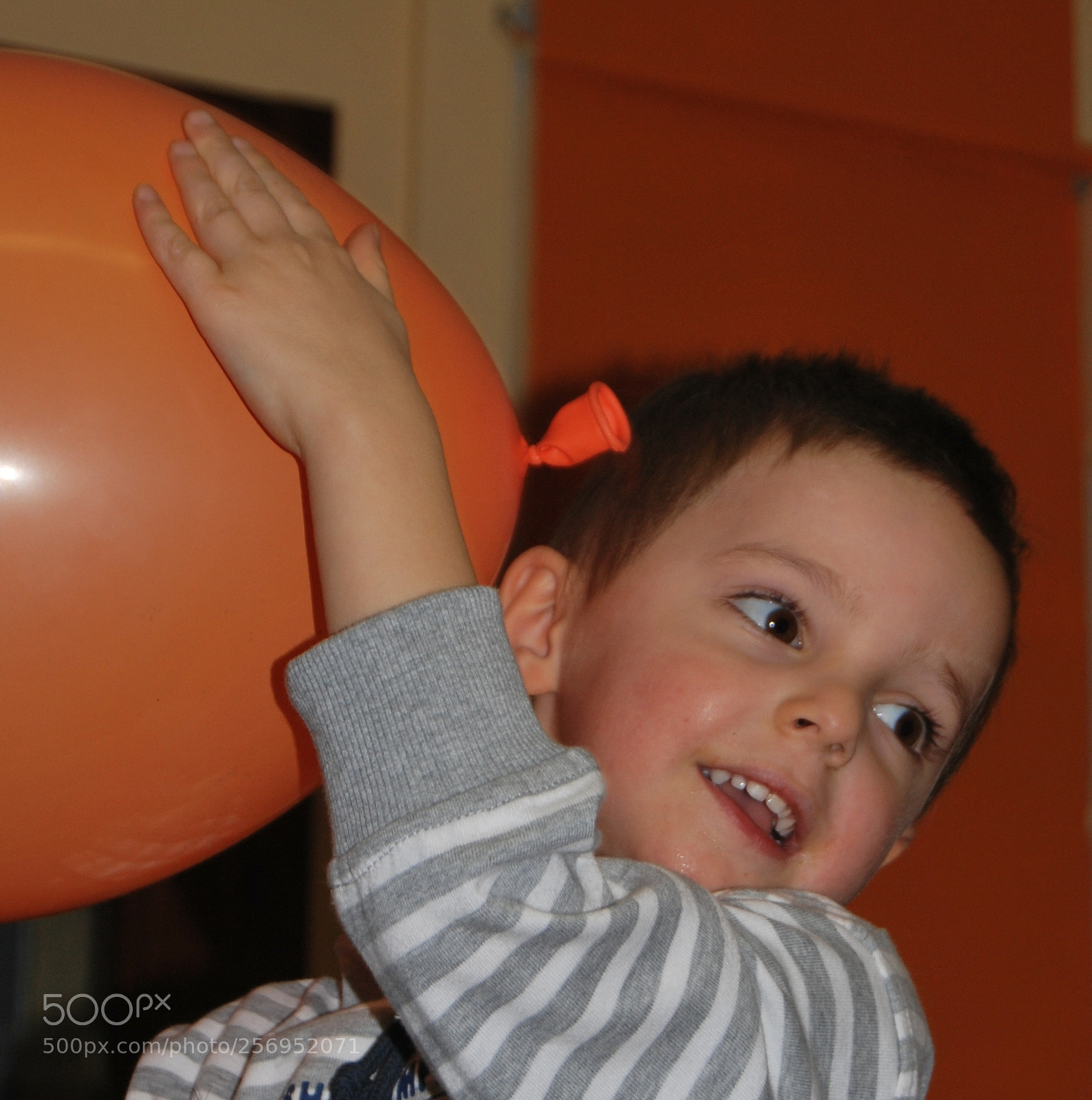 Nikon D60 sample photo. Photo (t) photography