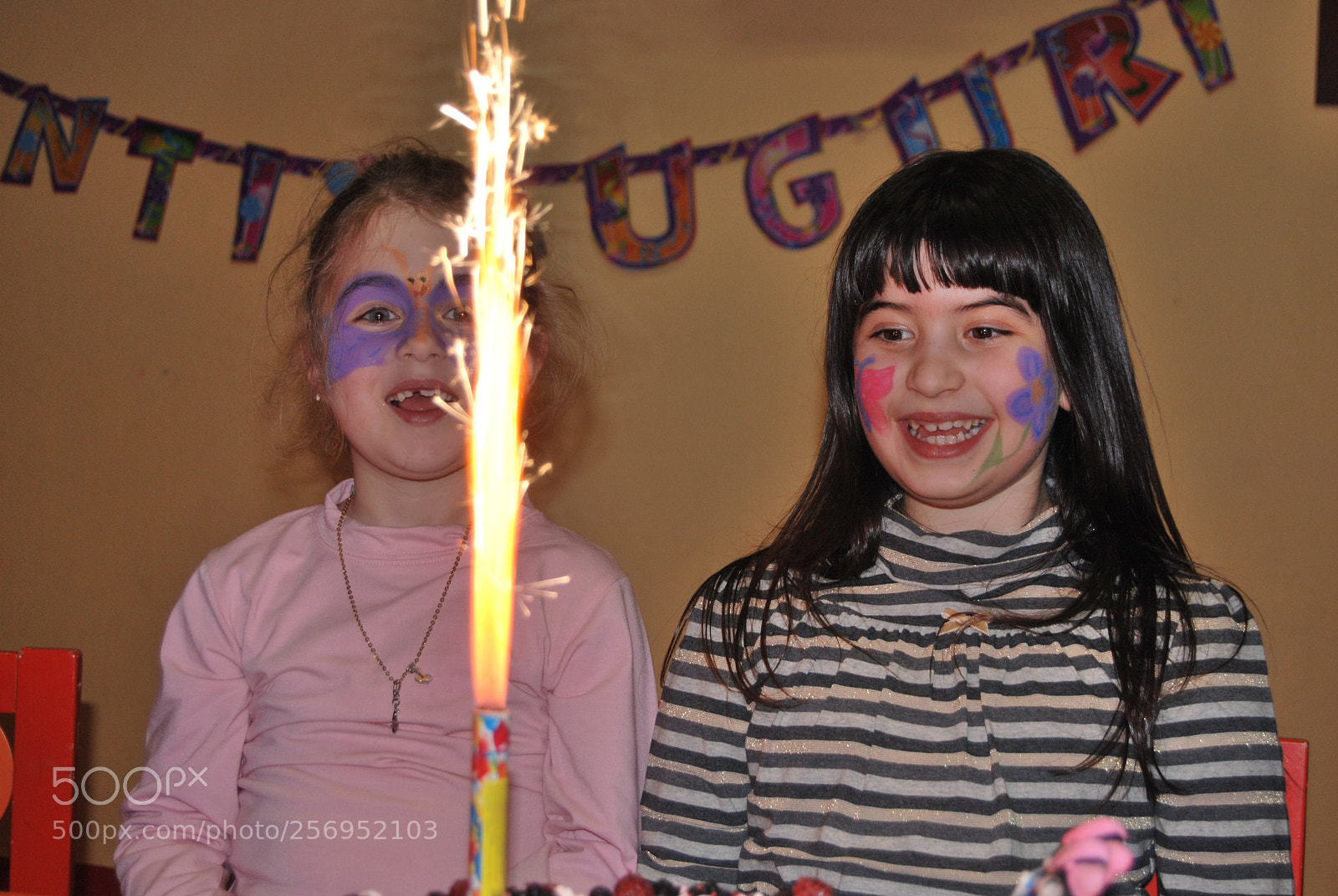 Nikon D60 sample photo. Photo (t) photography
