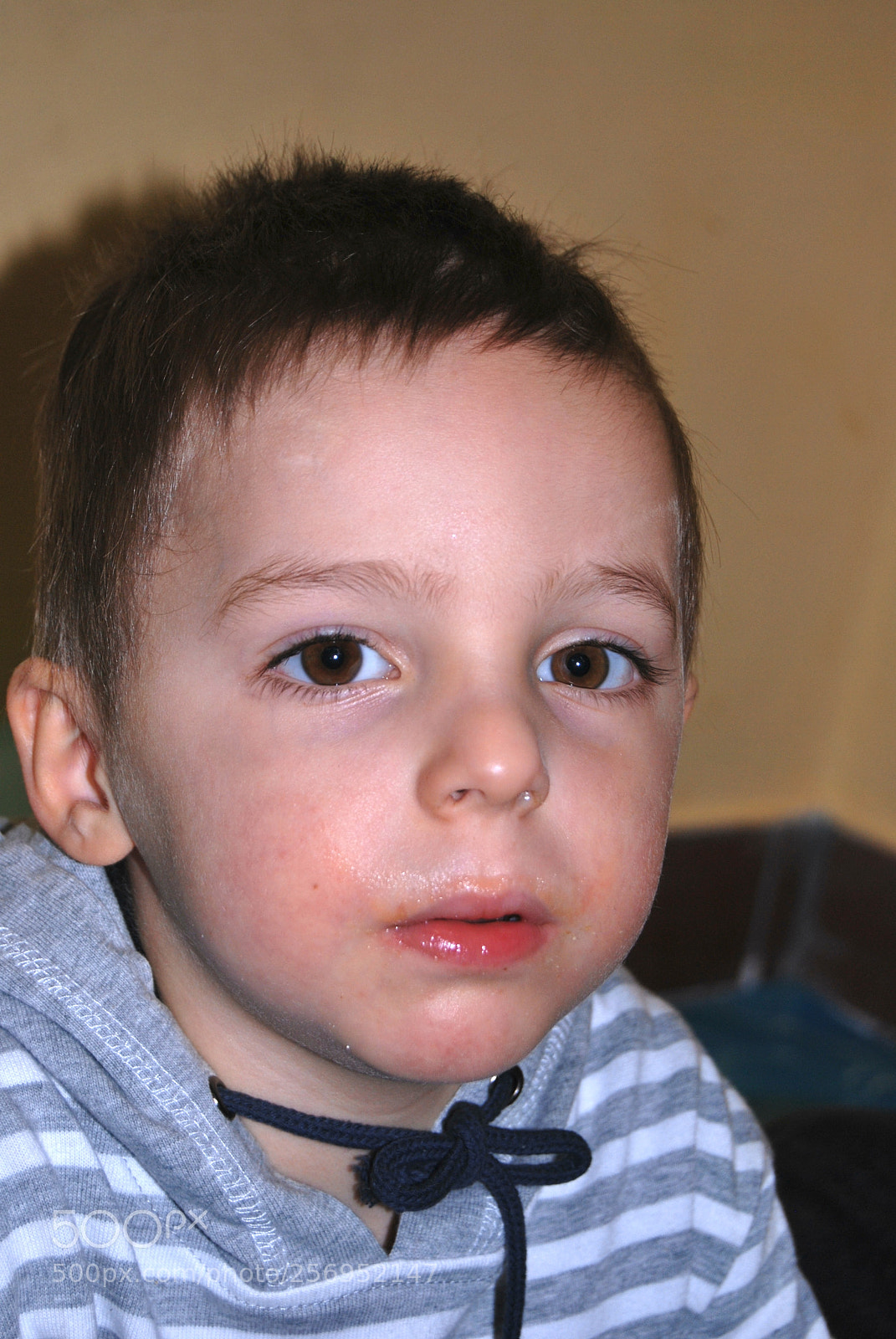 Nikon D60 sample photo. Photo (t) photography