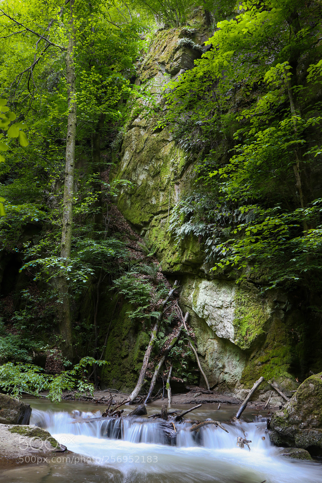Canon EOS 80D sample photo. Canyon wall photography