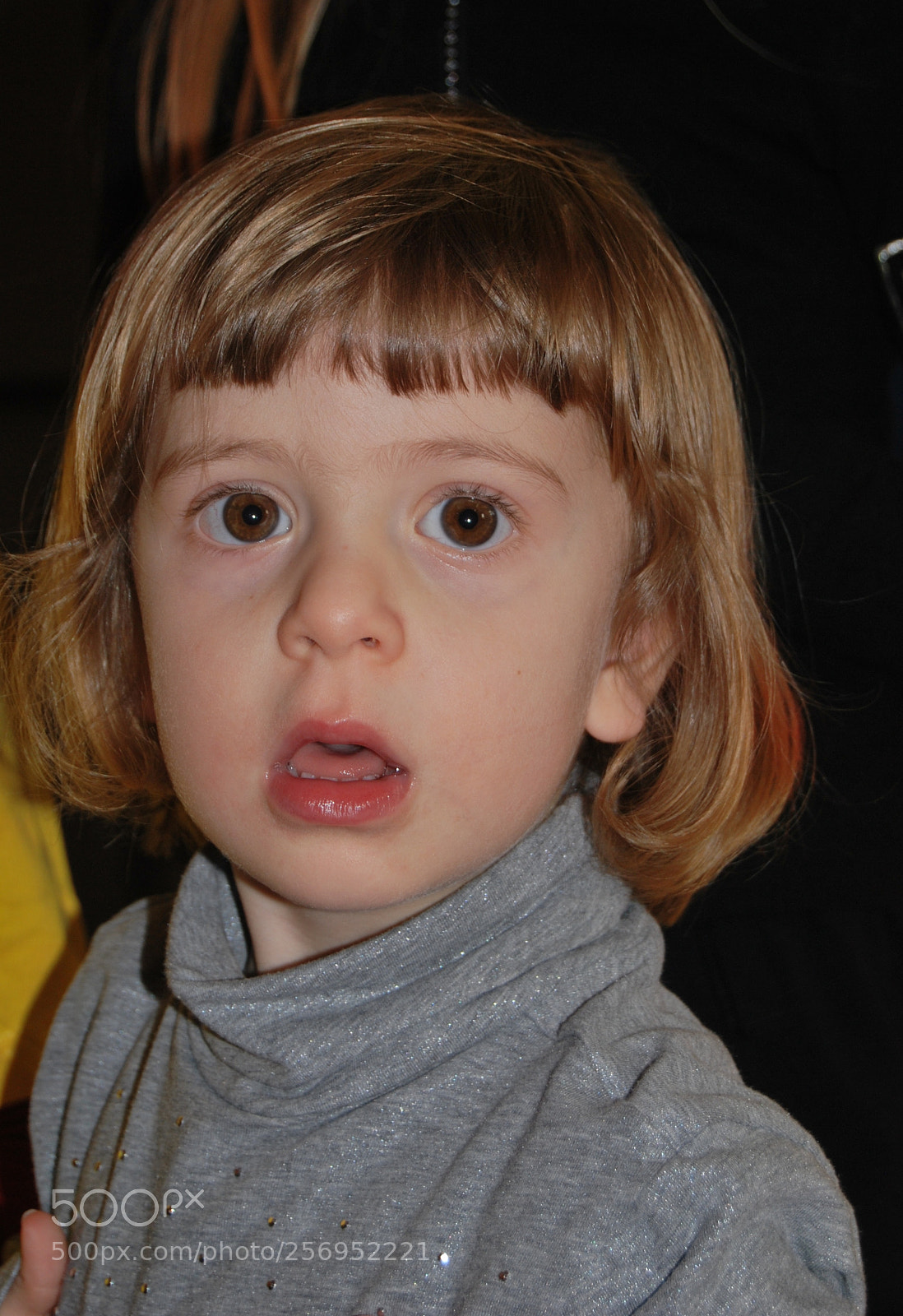 Nikon D60 sample photo. Photo (t) photography