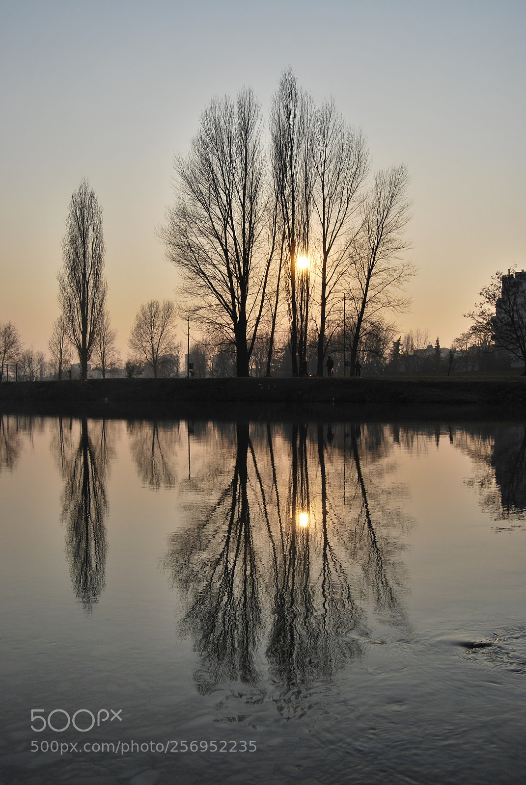 Nikon D60 sample photo. Reno river in bologna photography