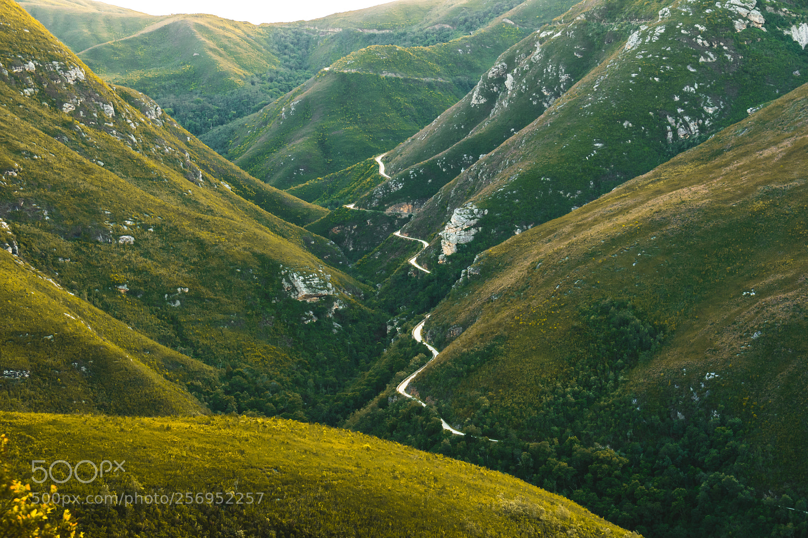 Nikon D3400 sample photo. Outeniqua pass, george, western photography