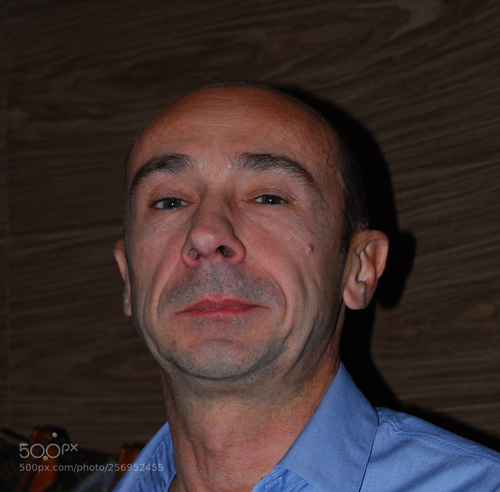 Nikon D60 sample photo. Version photography