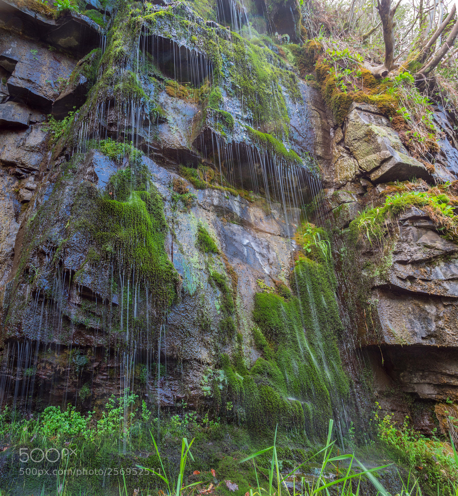 Pentax K-3 II sample photo. Water wall photography