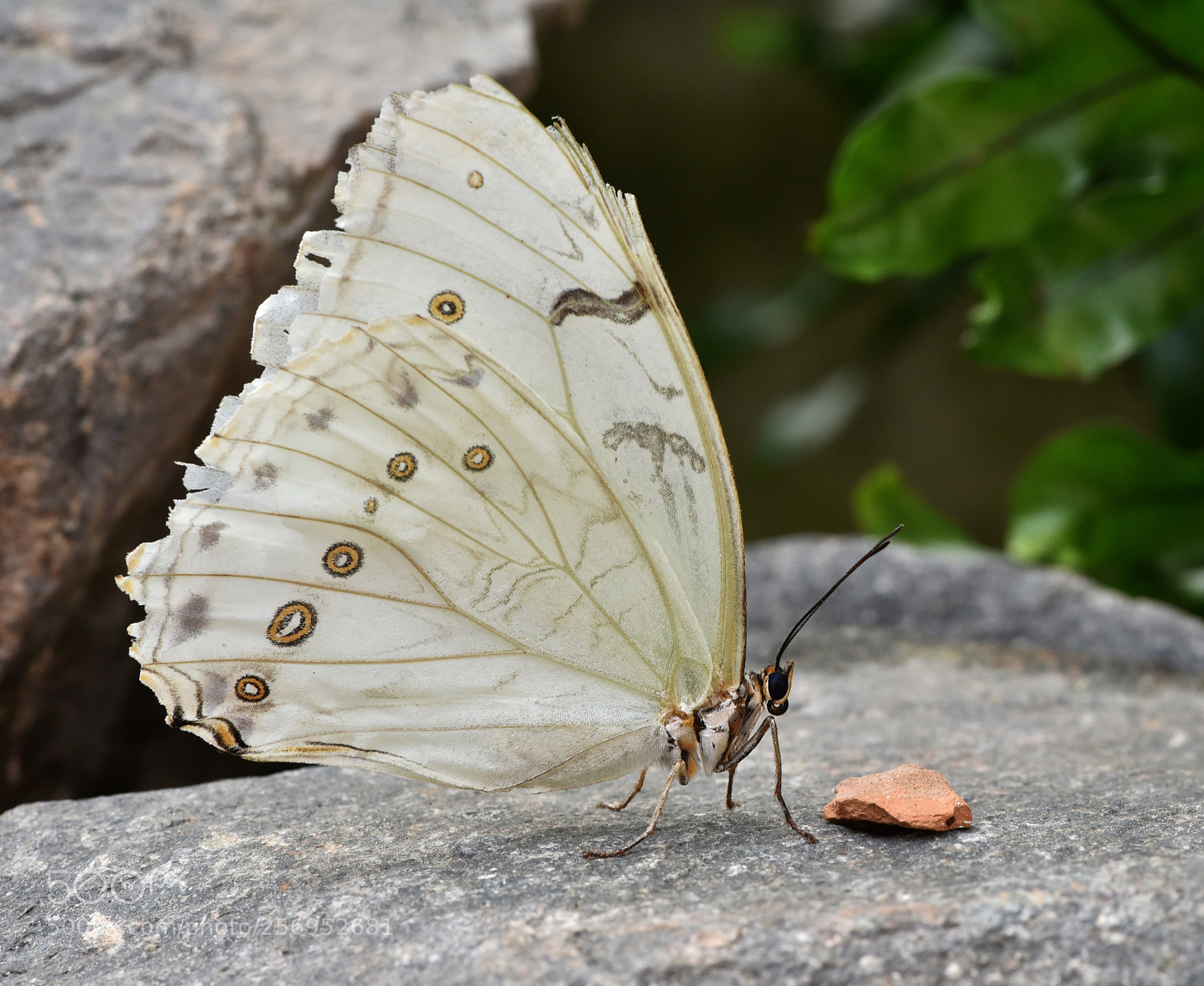 Nikon D750 sample photo. Nur ein bisschen ruhe photography