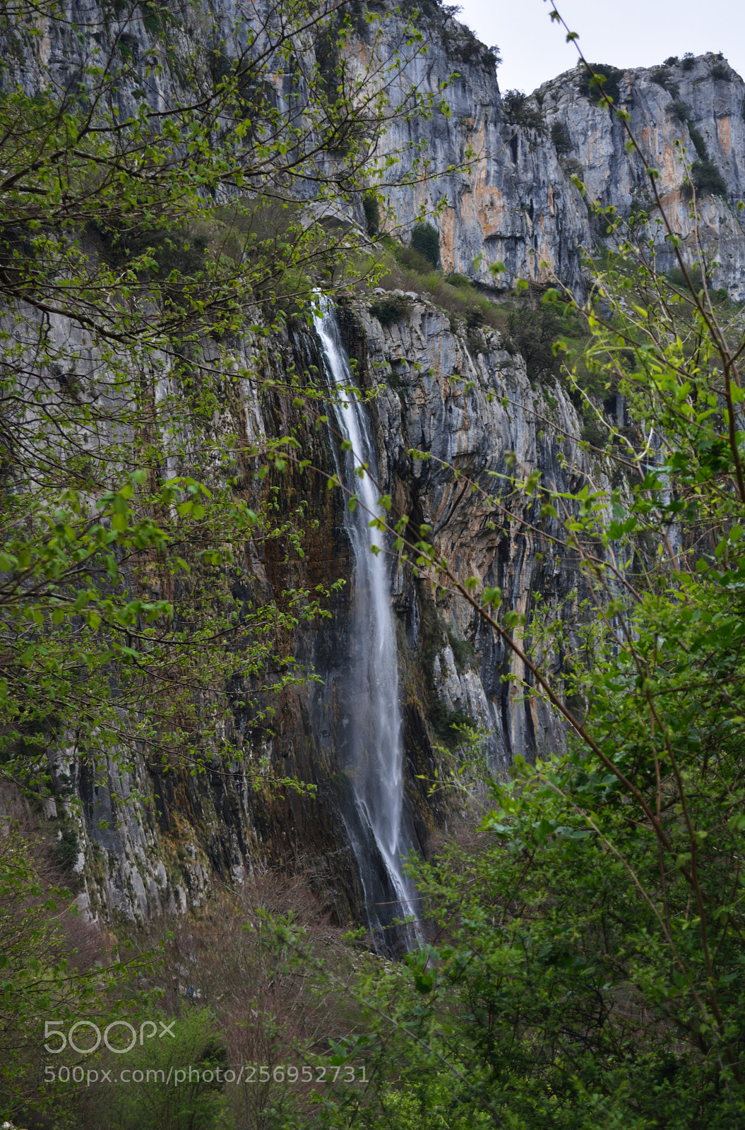 Nikon D5200 sample photo. Nacimiento del rio as photography