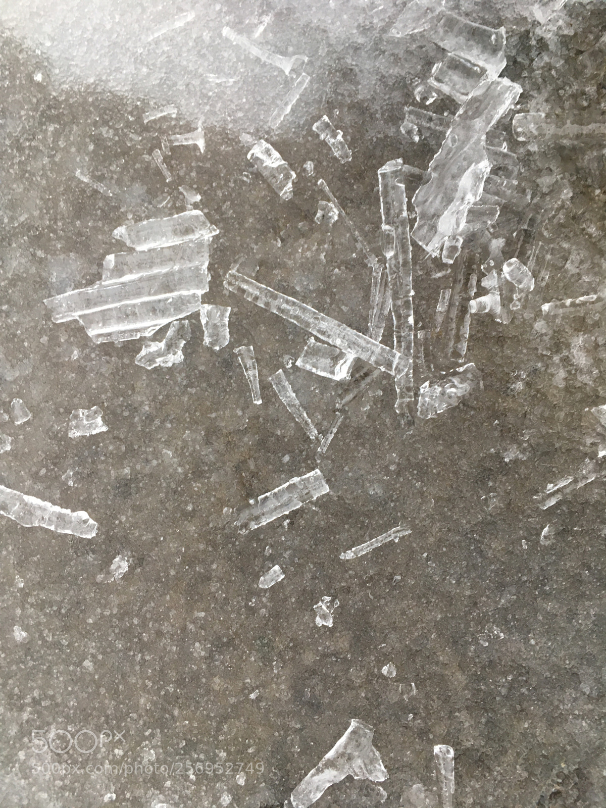 Apple iPhone SE sample photo. Ice crystals photography
