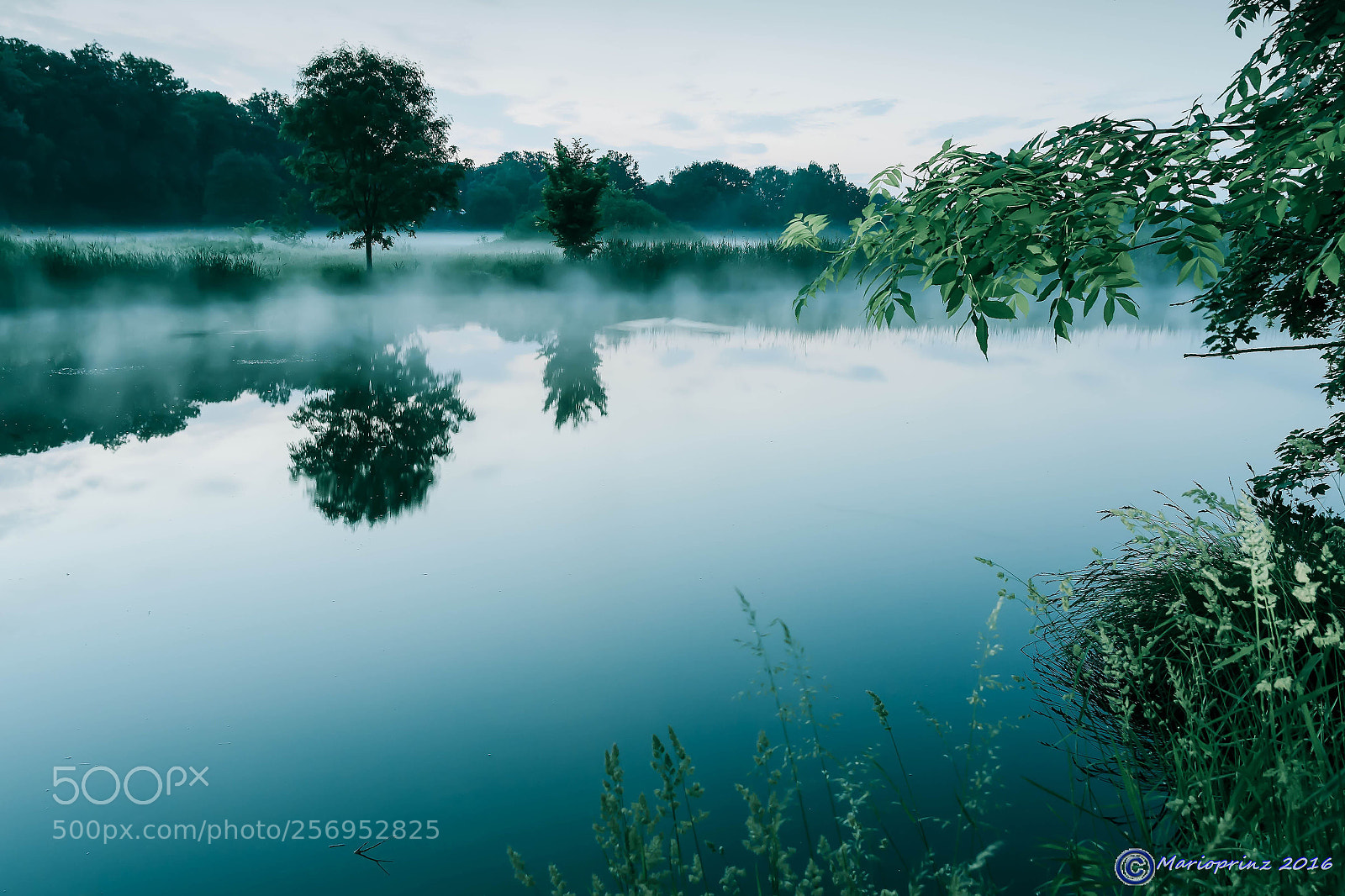 Canon EOS 70D sample photo. Blankensee photography
