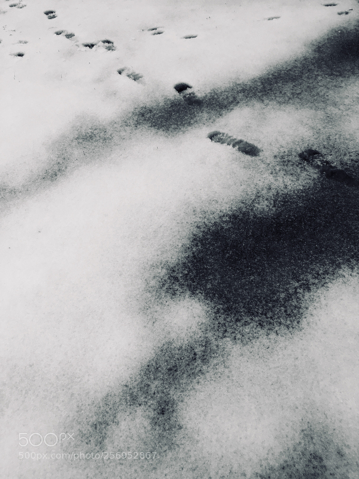 Apple iPhone SE sample photo. Footprints photography