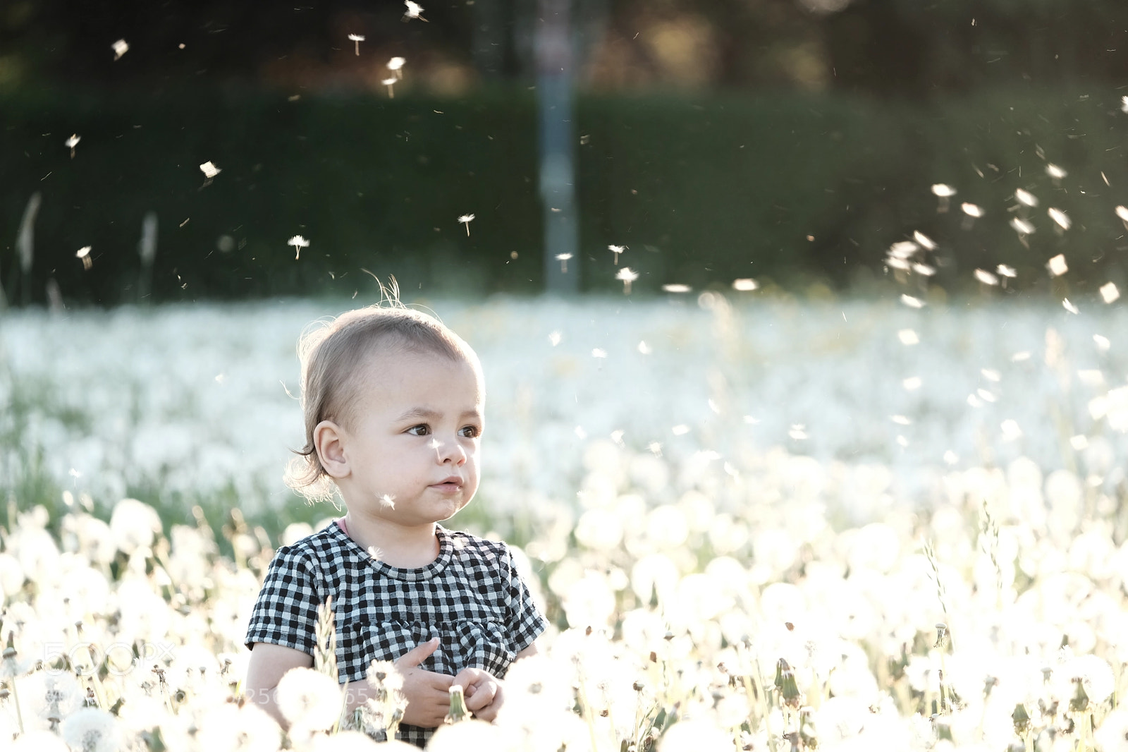 Fujifilm X-Pro2 sample photo. Dandelion girl photography