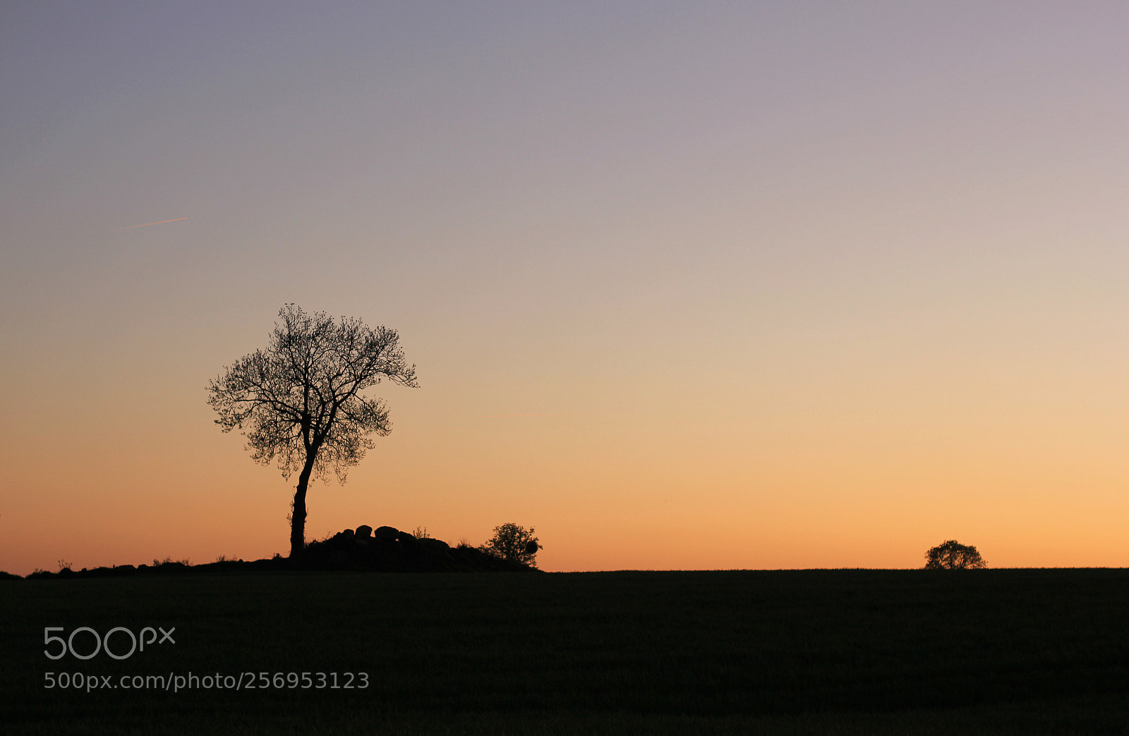 Canon EOS 550D (EOS Rebel T2i / EOS Kiss X4) sample photo. Coucher de soleil photography