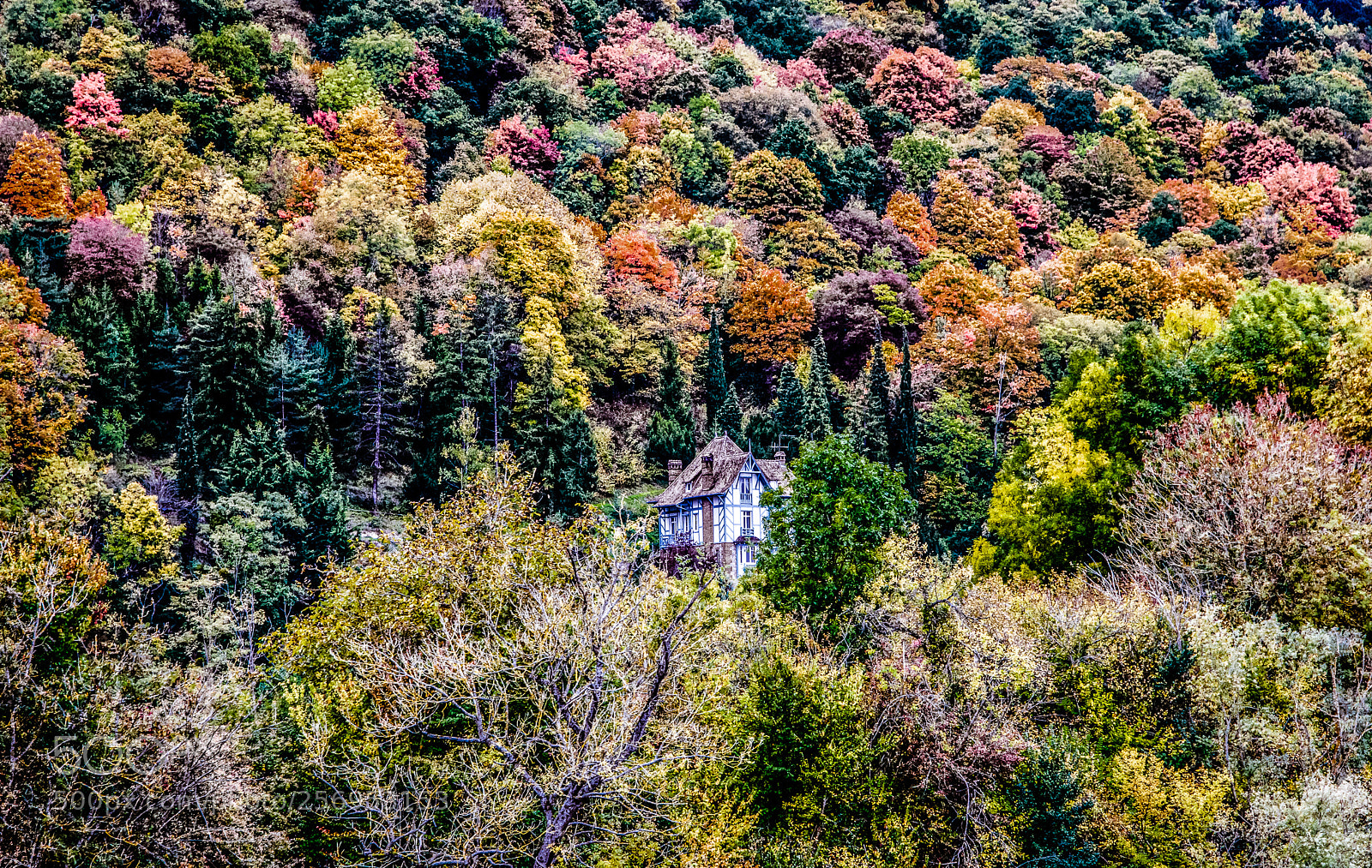 Nikon D7100 sample photo. House of color photography