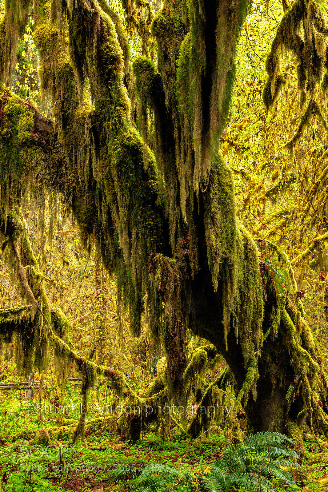 Canon EOS 5DS R sample photo. Ancient one of the photography