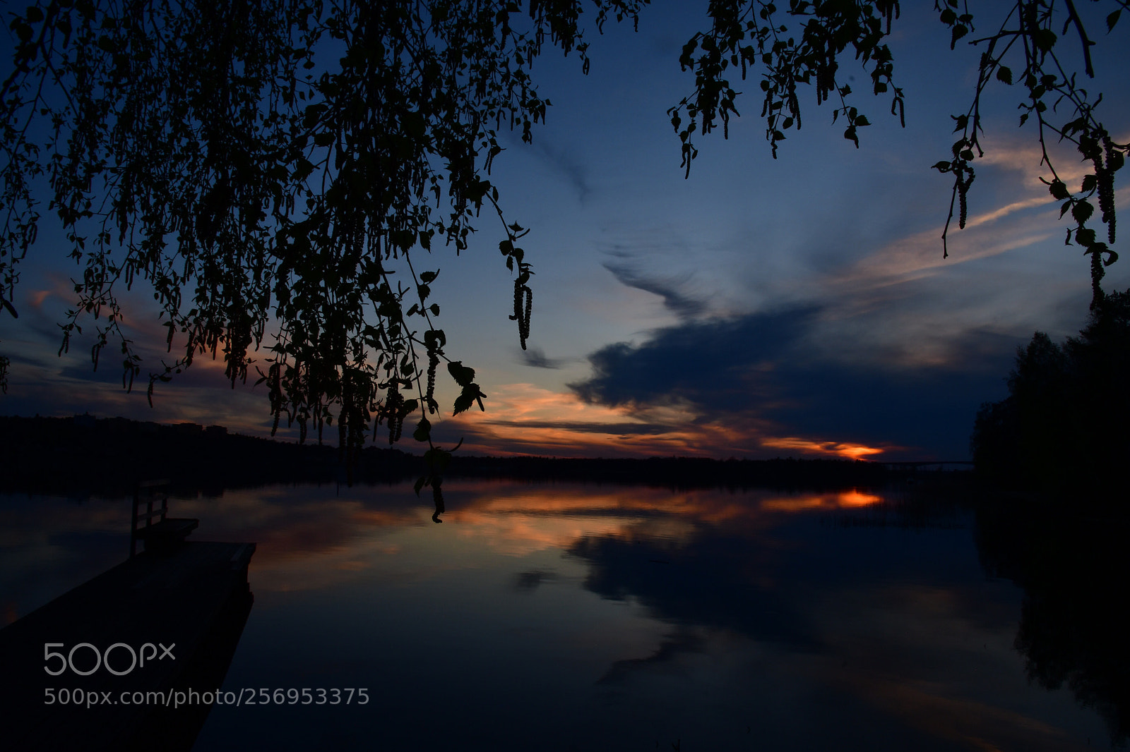 Nikon D500 sample photo. Sunset  photography