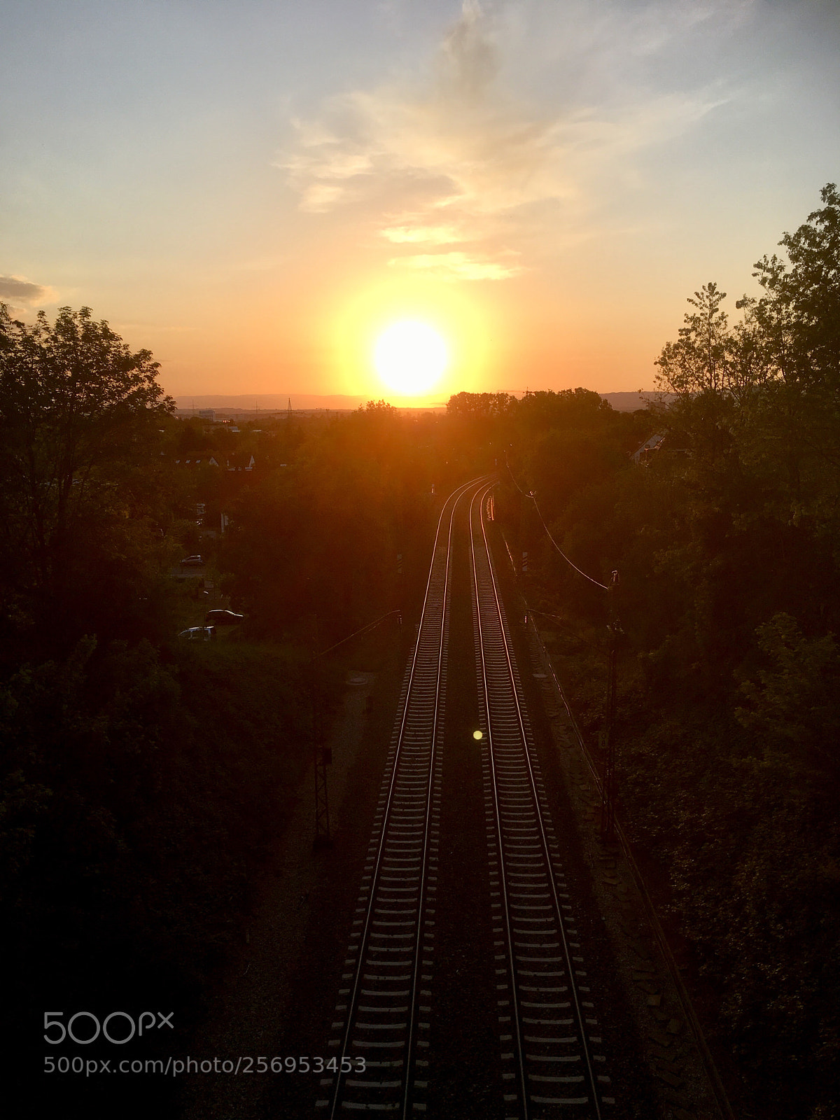 Apple iPhone SE sample photo. Komm ...wir gehen die photography