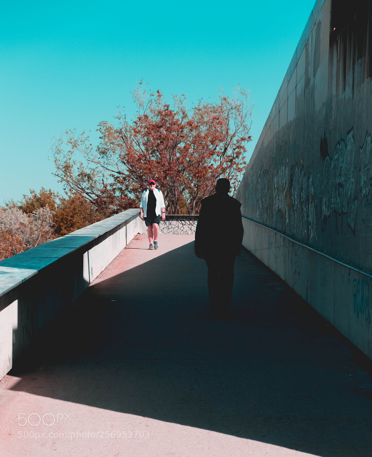 Fujifilm X-T2 sample photo. Shades photography