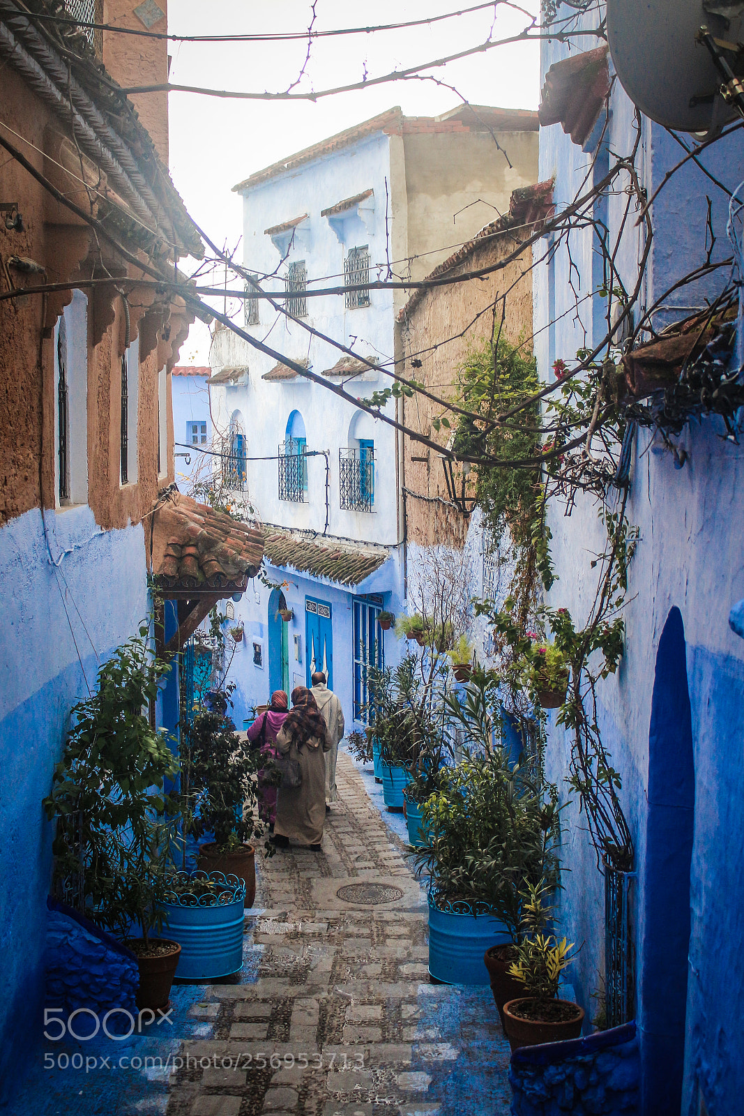 Canon EOS 700D (EOS Rebel T5i / EOS Kiss X7i) sample photo. Chefchaouen, morocco photography