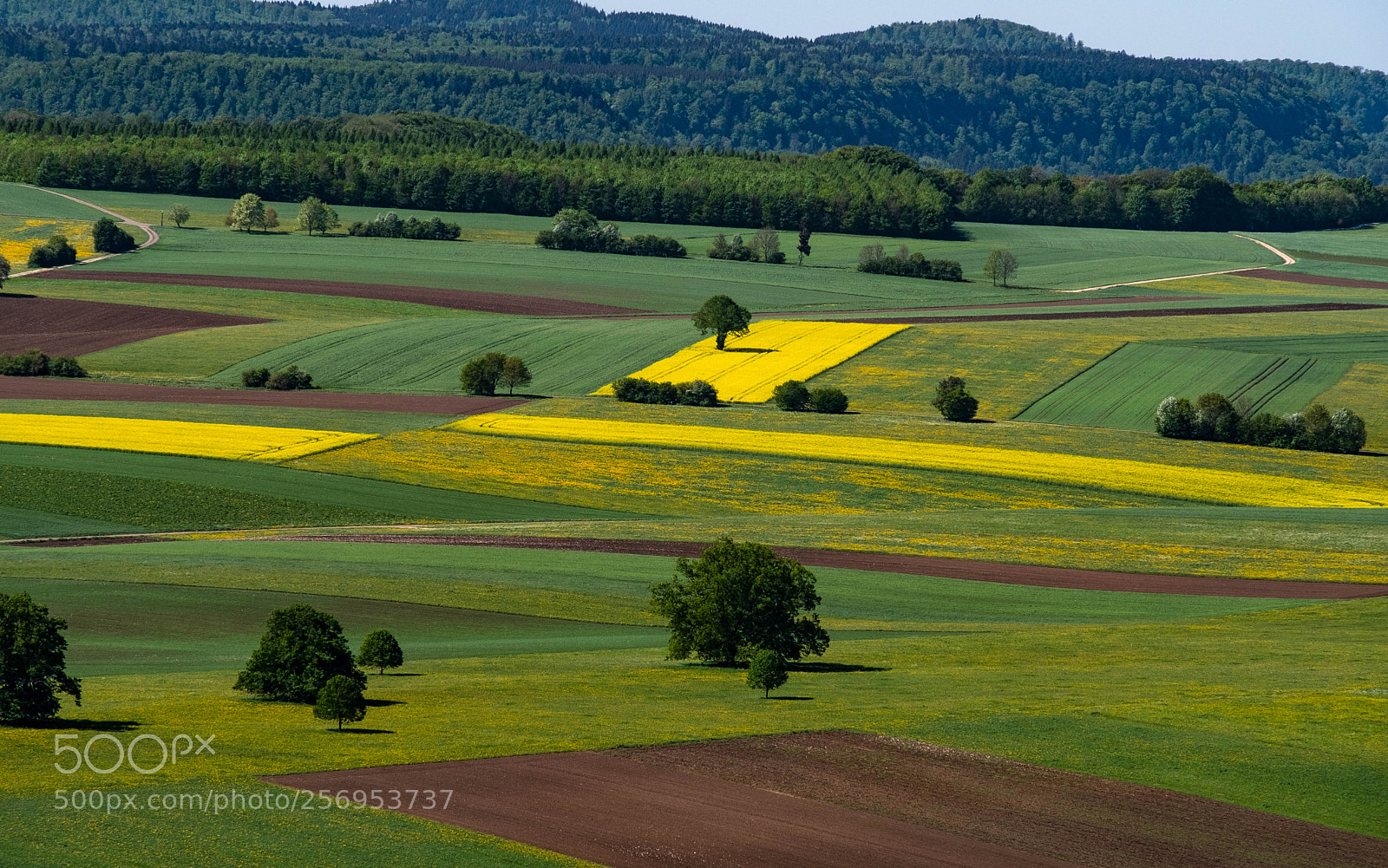 Fujifilm X-T20 sample photo. Blick von der salmendinger photography