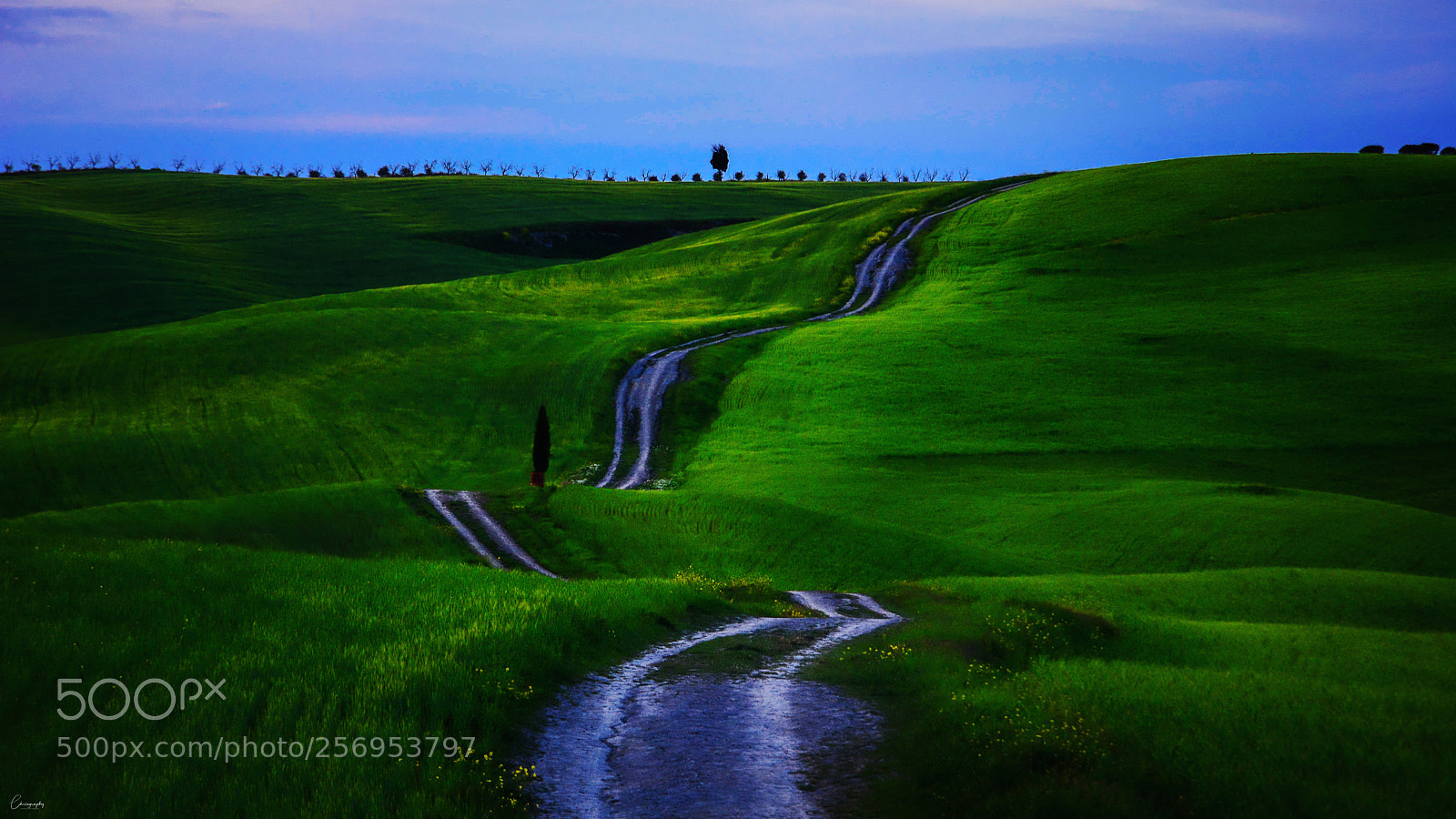 Nikon D7100 sample photo. Tuscan path photography