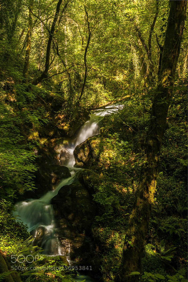 Nikon D800 sample photo. Cascada primaveral photography