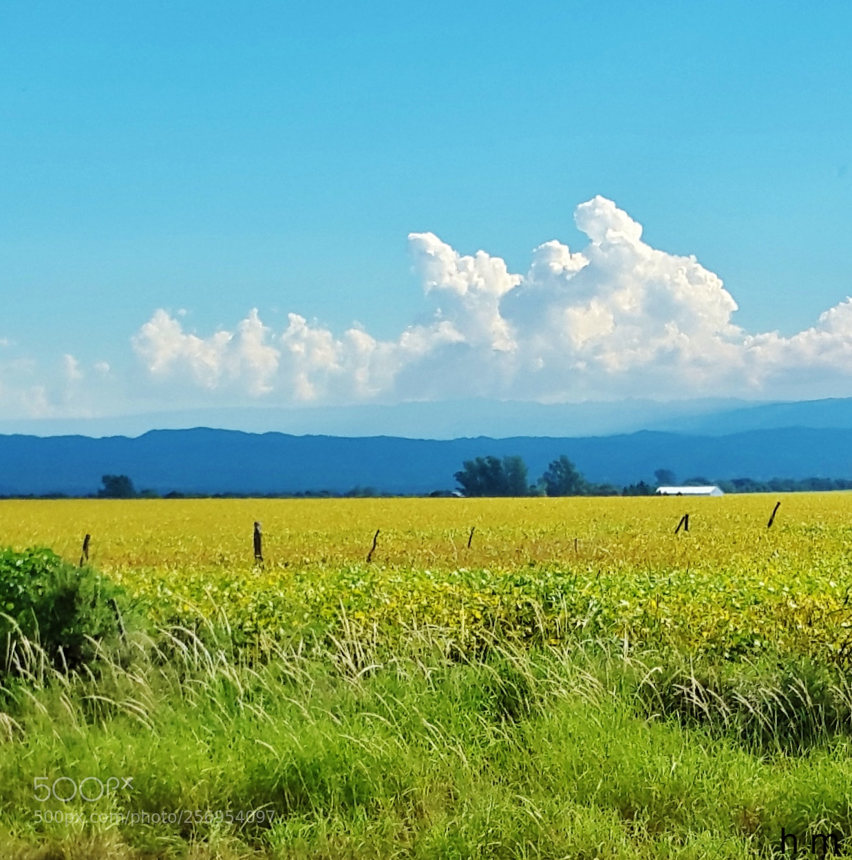 Samsung Galaxy S5 sample photo. D o photography