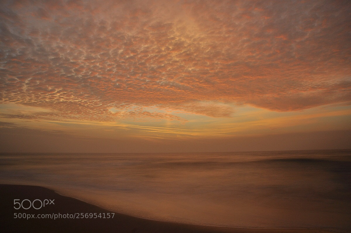 Nikon D90 sample photo. On the beach 1 photography