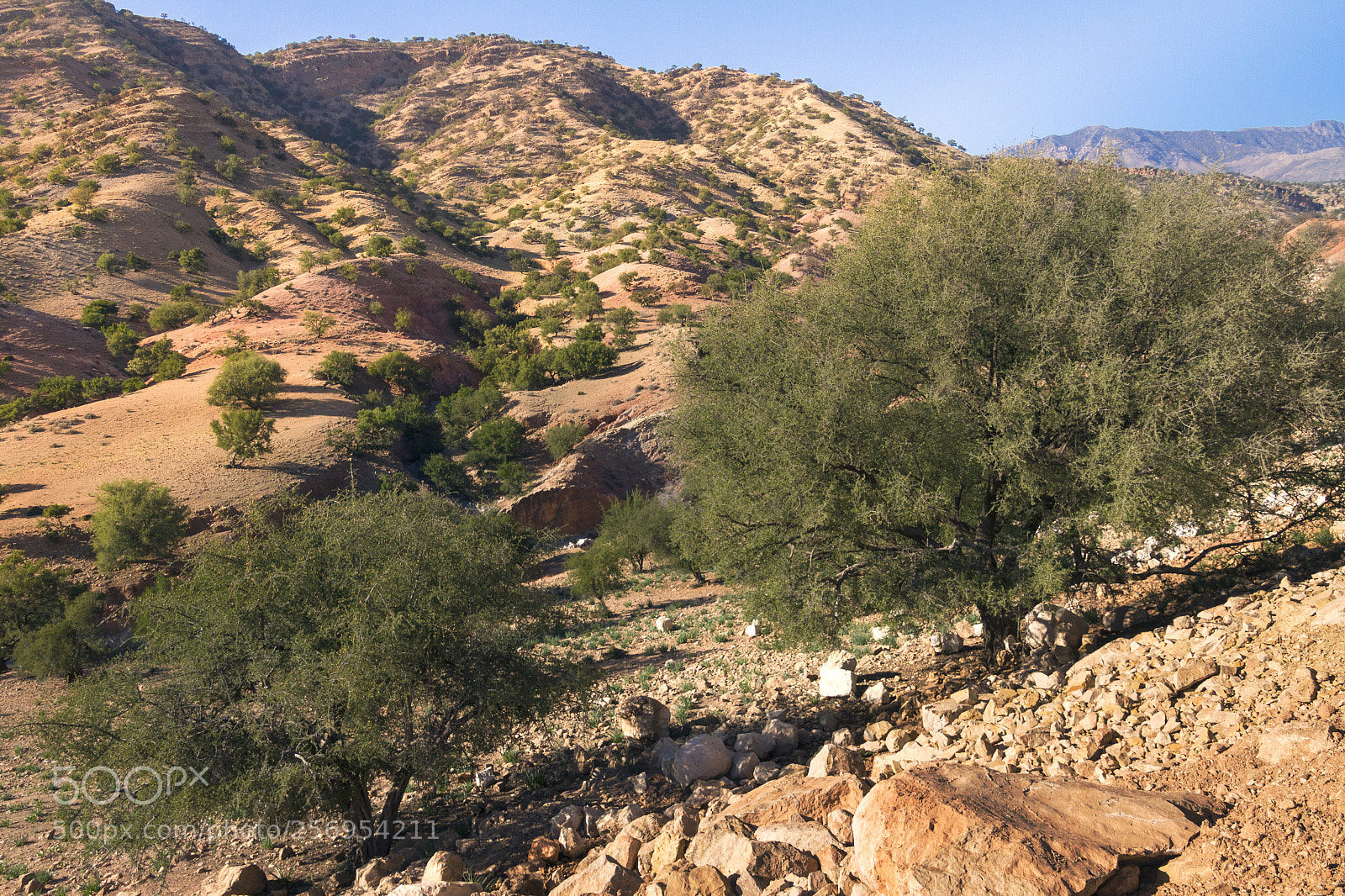 Canon EOS 7D sample photo. 2018-3883.jpg photography