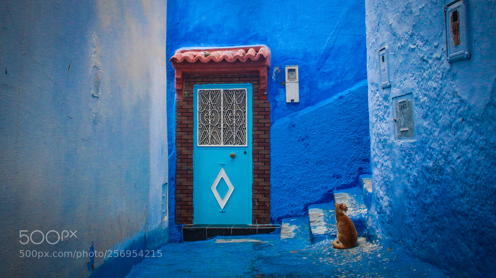 Canon EOS 700D (EOS Rebel T5i / EOS Kiss X7i) sample photo. Chefchaouen, morocco photography