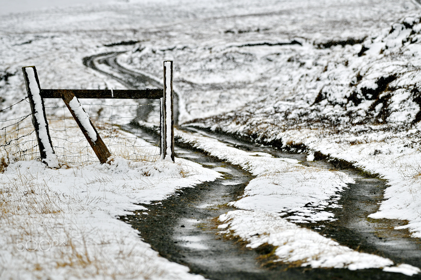 Nikon AF-S Nikkor 200-500mm F5.6E ED VR sample photo. The road photography