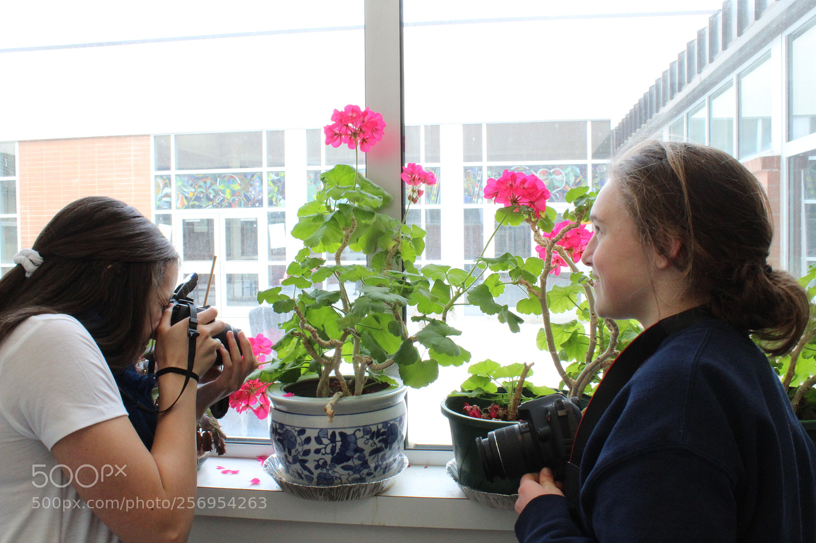 Canon EOS 1300D (EOS Rebel T6 / EOS Kiss X80) sample photo. Plants in the hallway photography