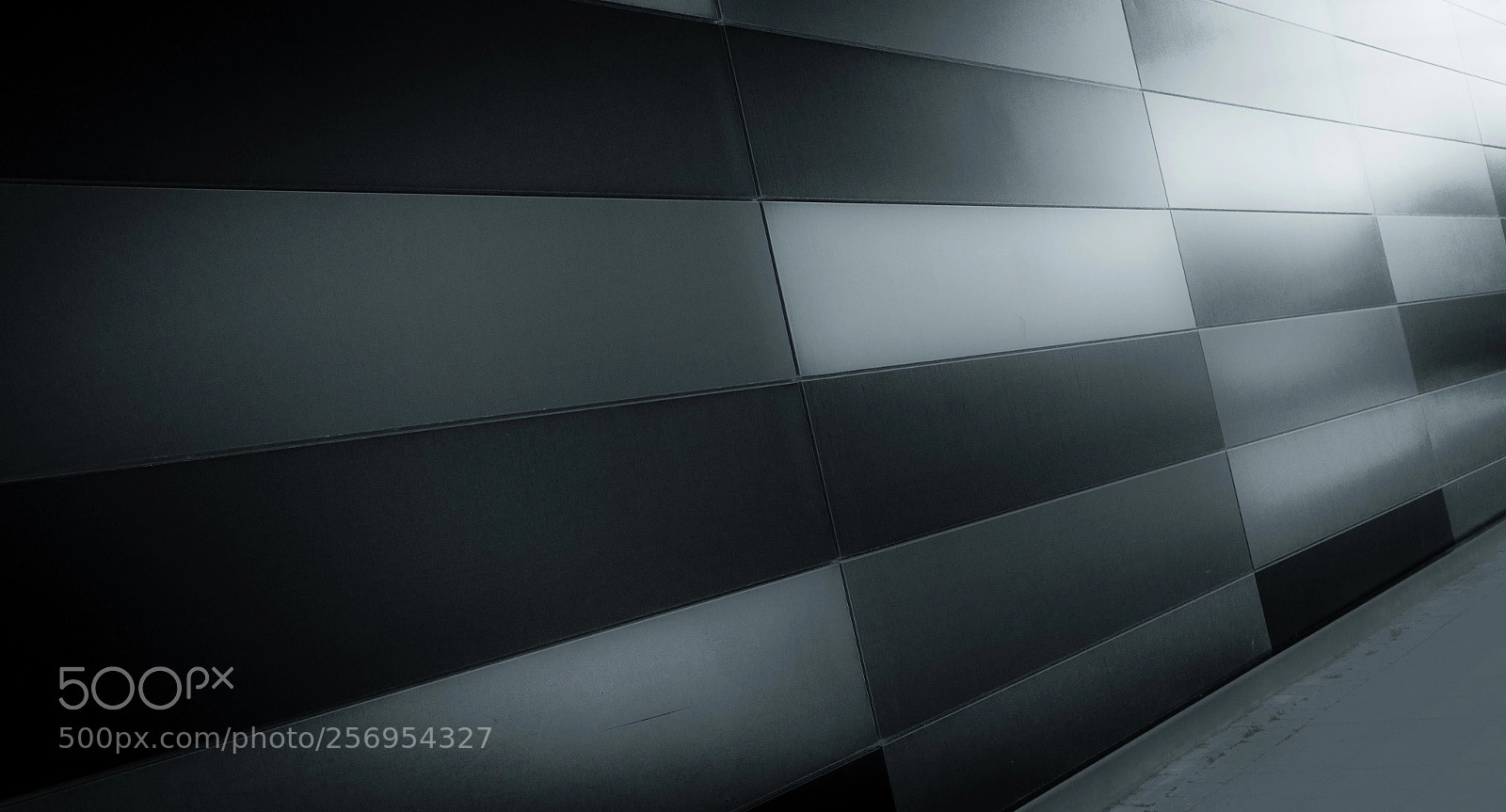 Canon EOS 5D Mark II sample photo. Untitled photography