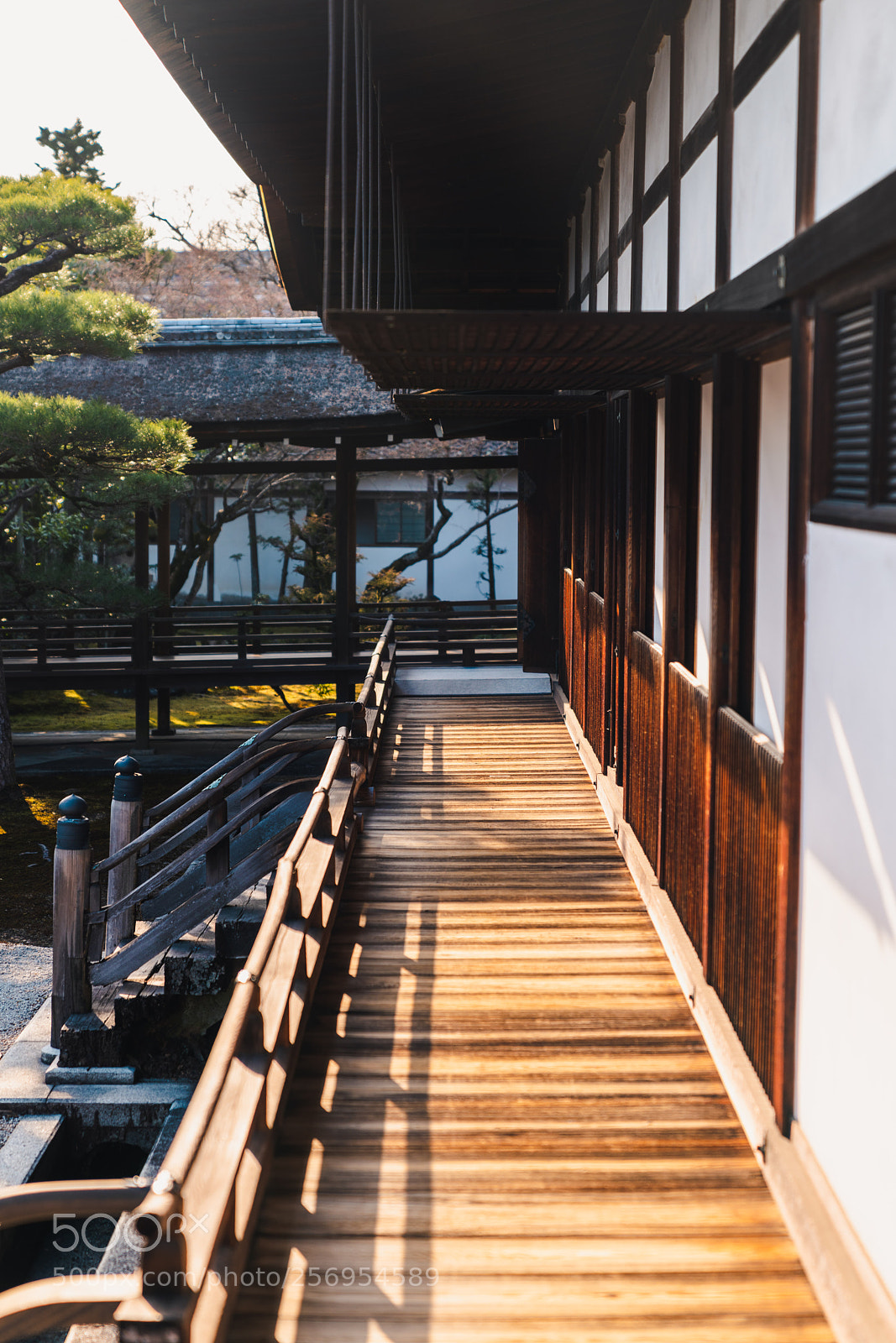 Sony a7R III sample photo. Ninna-ji shinden walkway photography