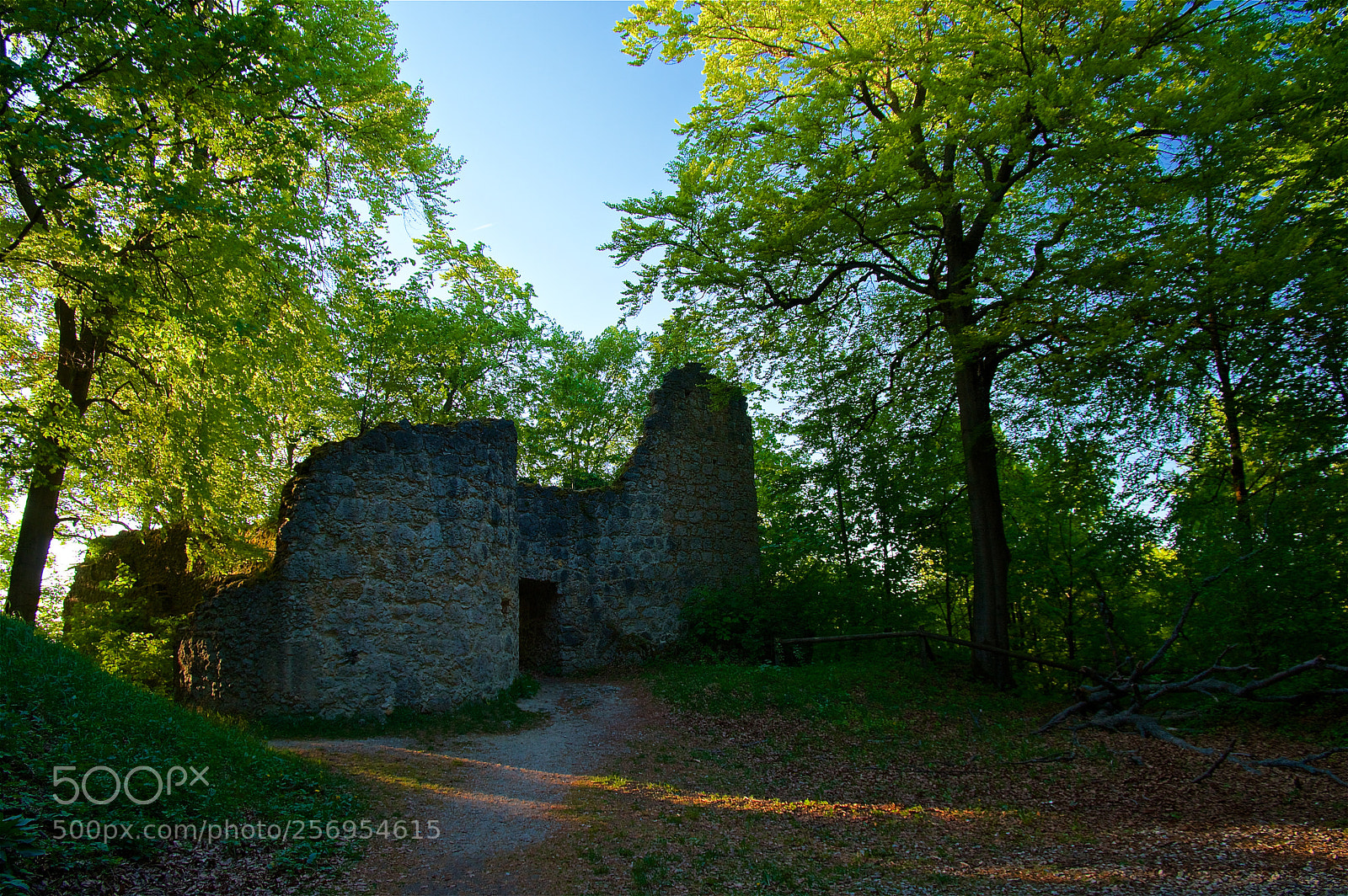 Pentax K-3 II sample photo. Burgruine leienfels photography