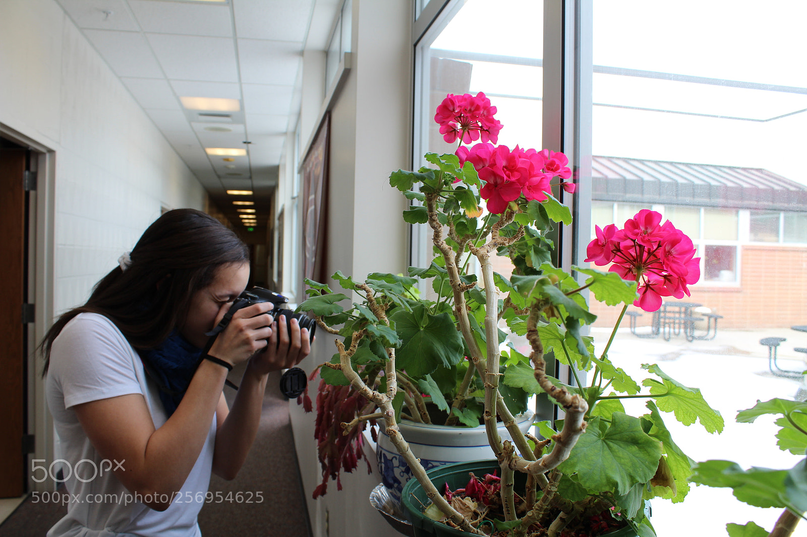 Canon EOS 1300D (EOS Rebel T6 / EOS Kiss X80) sample photo. Plants in the hallway photography