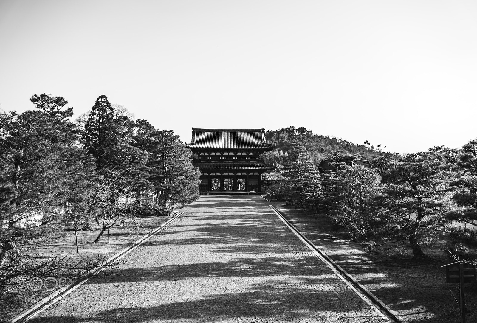 Sony a7R III sample photo. Ninnaji temple street photography