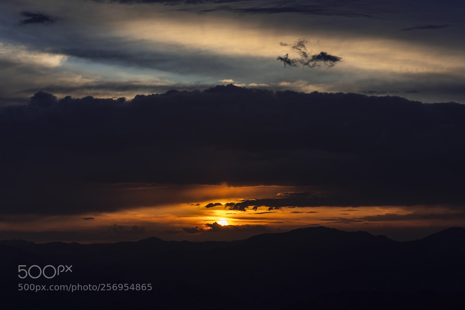 Sony a7R III sample photo. Dsc photography