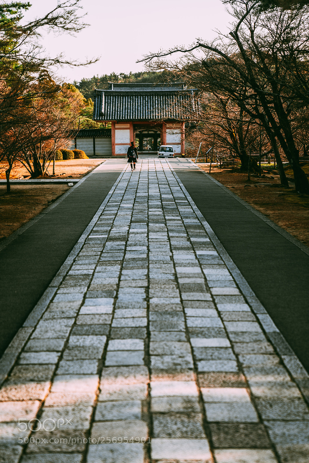 Sony a7R III sample photo. Walking home photography