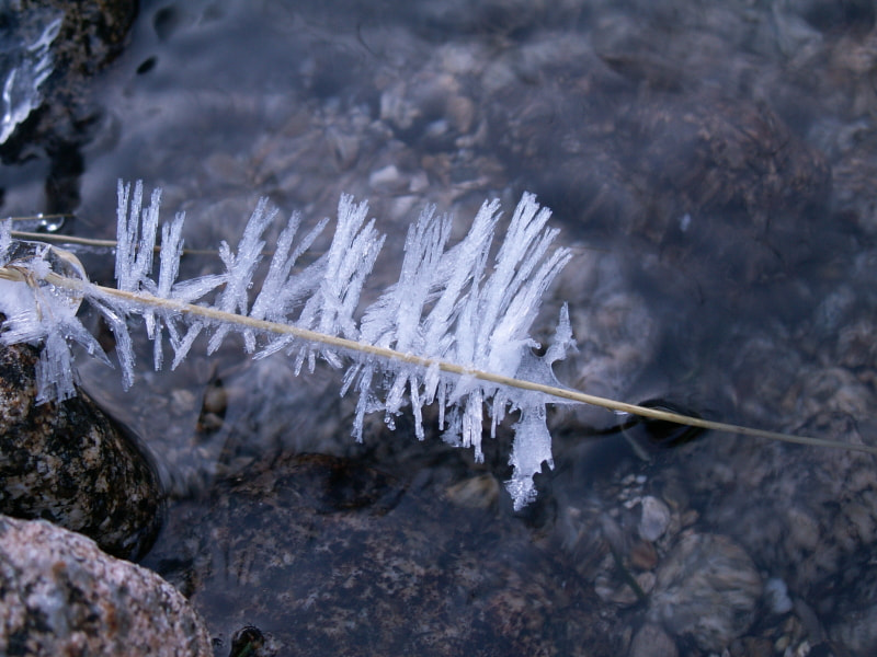 KONICA MINOLTA DiMAGE Z3 sample photo. Ice needles photography