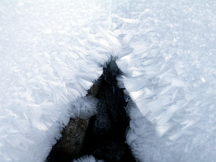 KONICA MINOLTA DiMAGE Z3 sample photo. Snow brushes photography