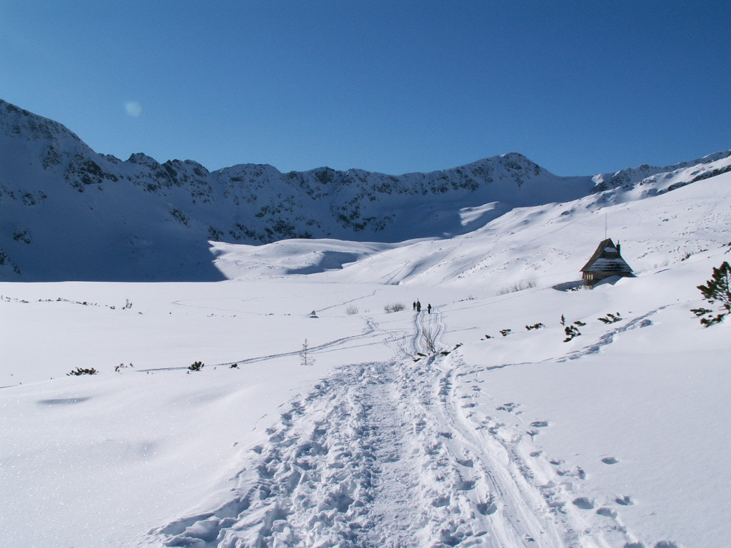 KONICA MINOLTA DiMAGE Z3 sample photo. Snow trail photography