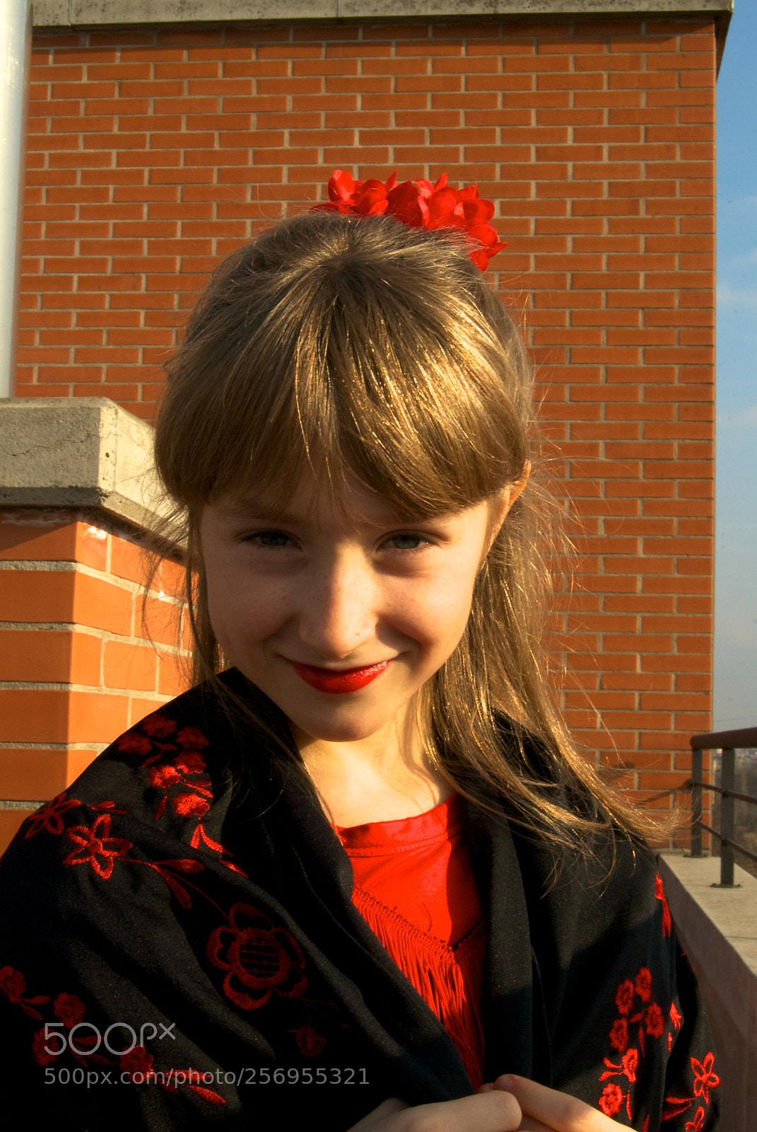 Nikon D60 sample photo. Version photography
