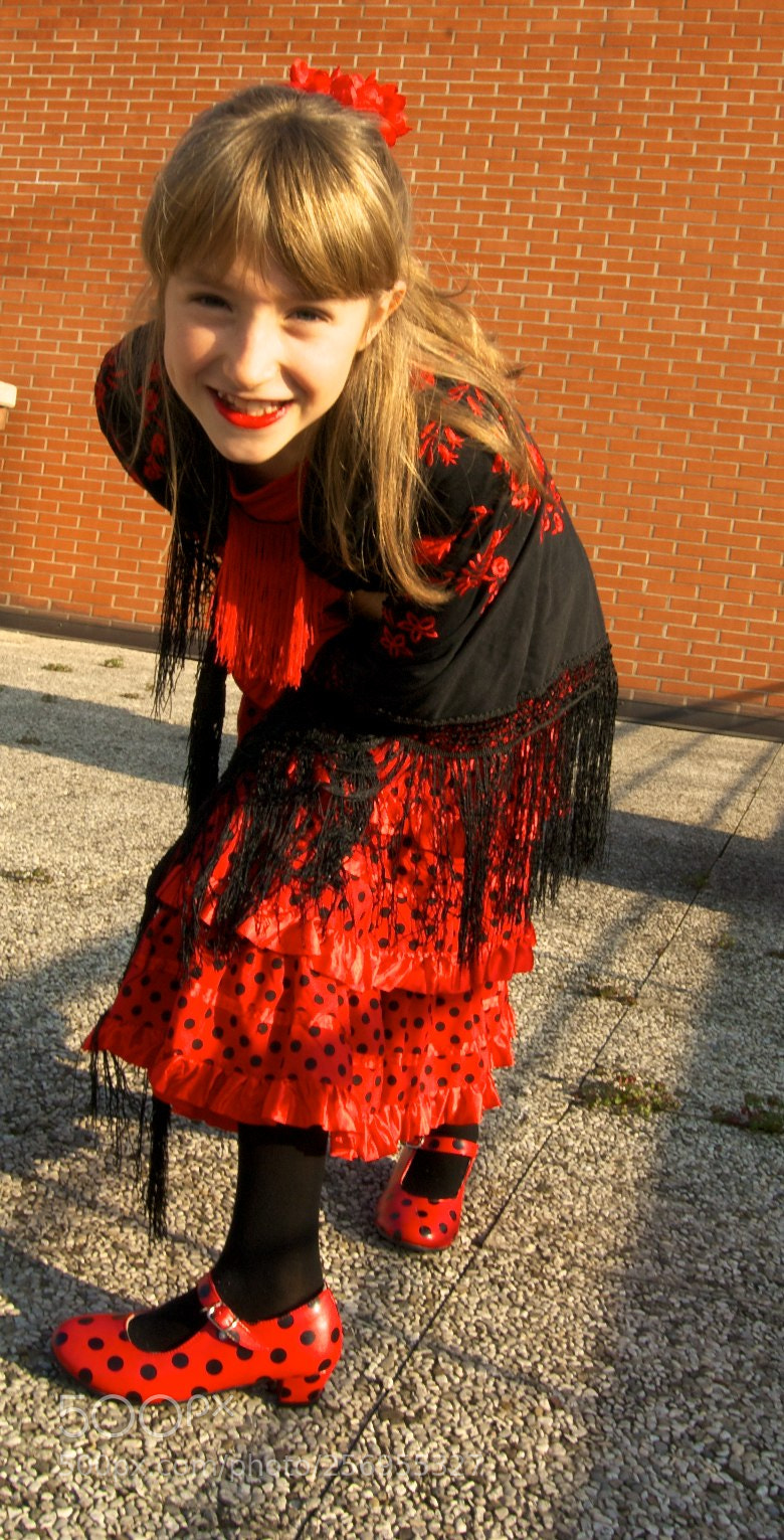 Nikon D60 sample photo. Version photography