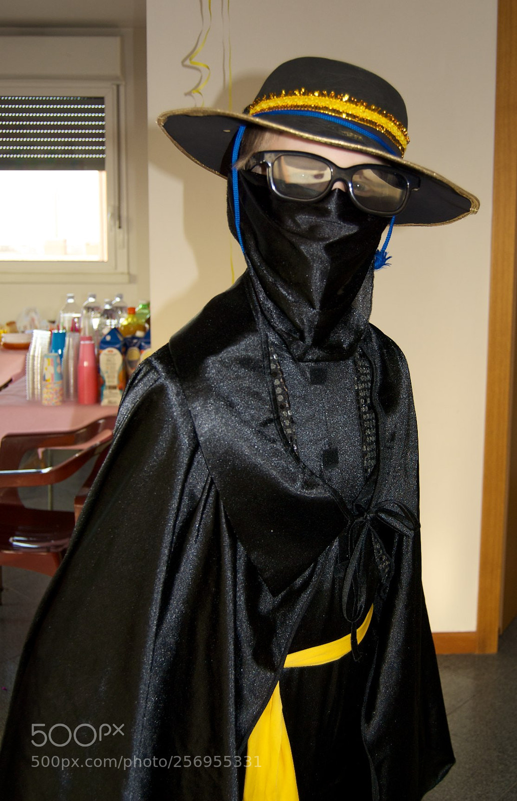 Nikon D60 sample photo. Version photography