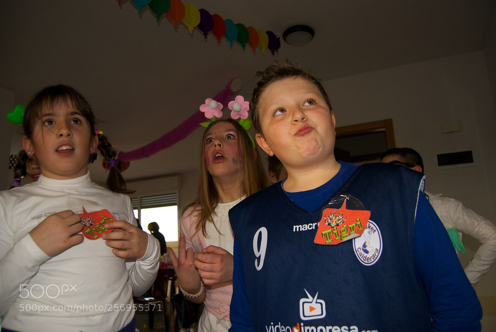 Nikon D60 sample photo. Version photography