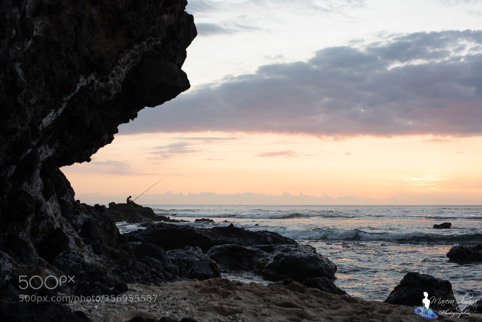 Nikon D810 sample photo. Boucan ile de la photography
