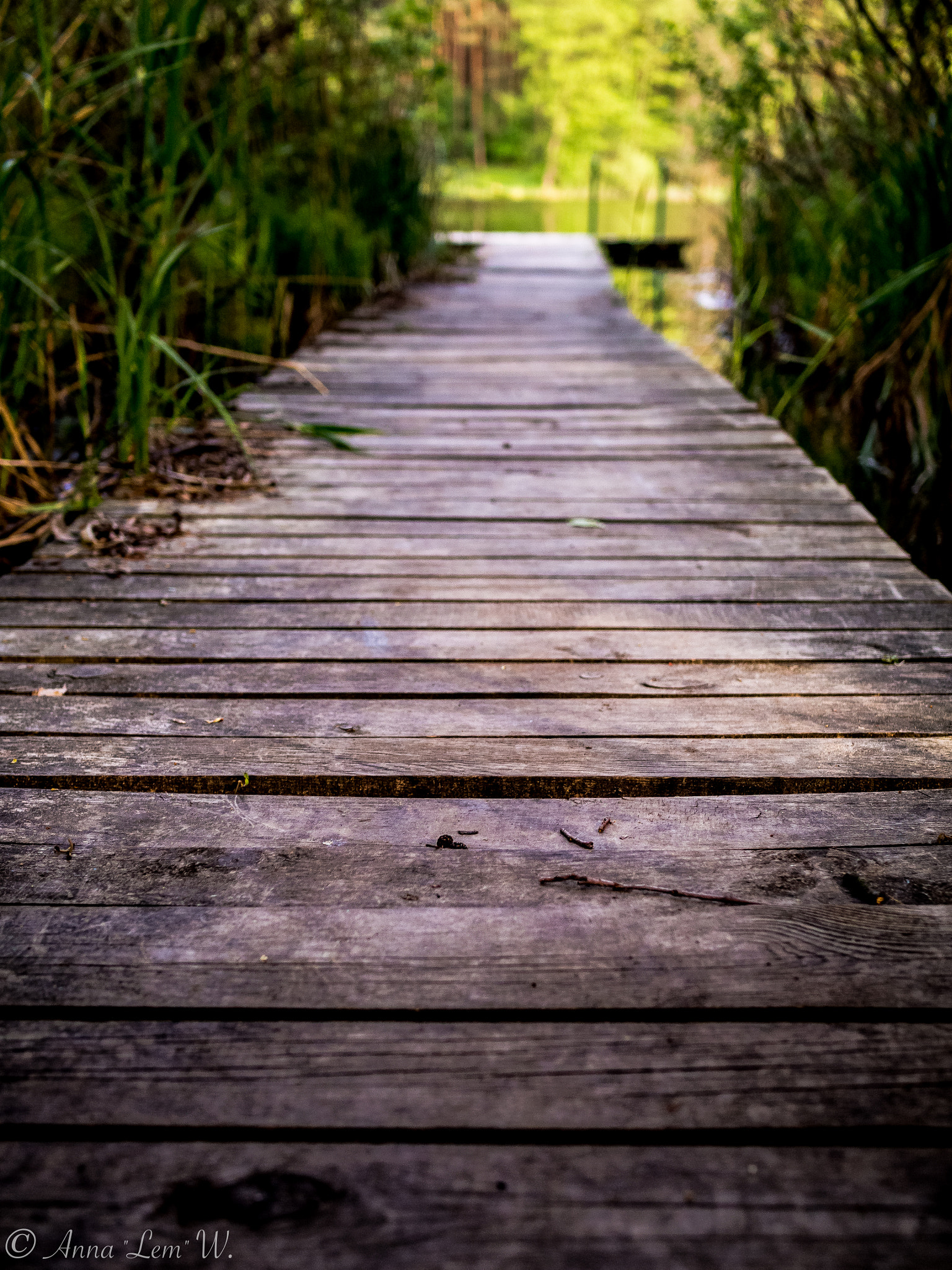 Olympus PEN E-PL5 sample photo. To the pond photography