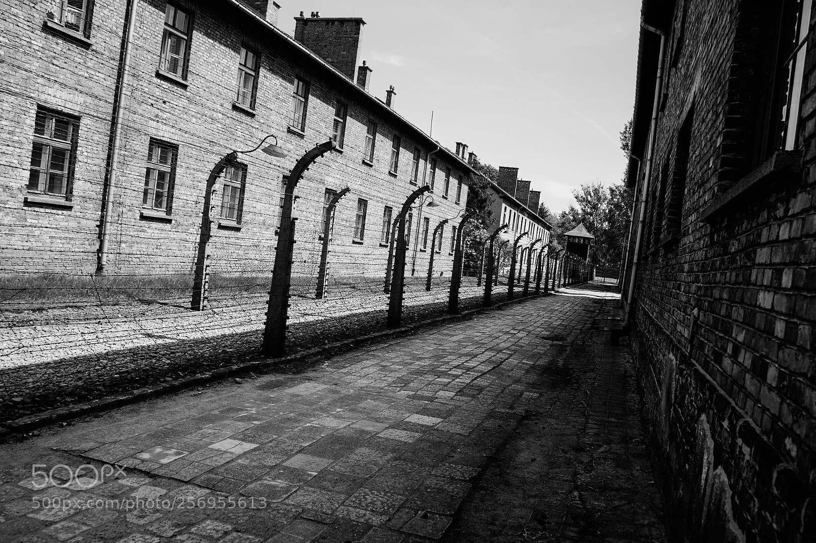 Canon EOS 6D sample photo. Auschwitz photography